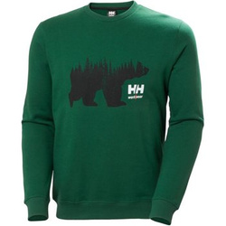 Bluza Helly Hansen 79263_460 Graphics/Logo kolor zielony